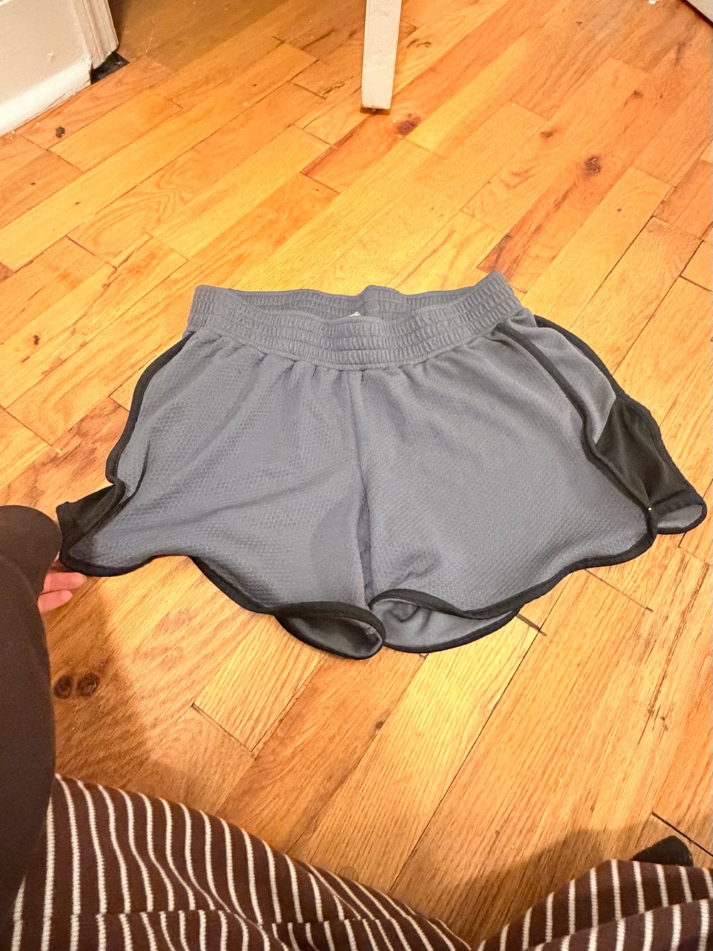 Champion brand women’s shorts